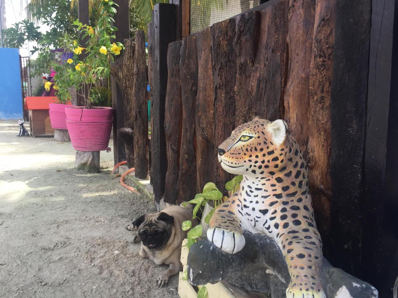 Hotel Hacienda La Catrina Isola Holbox Esterno foto