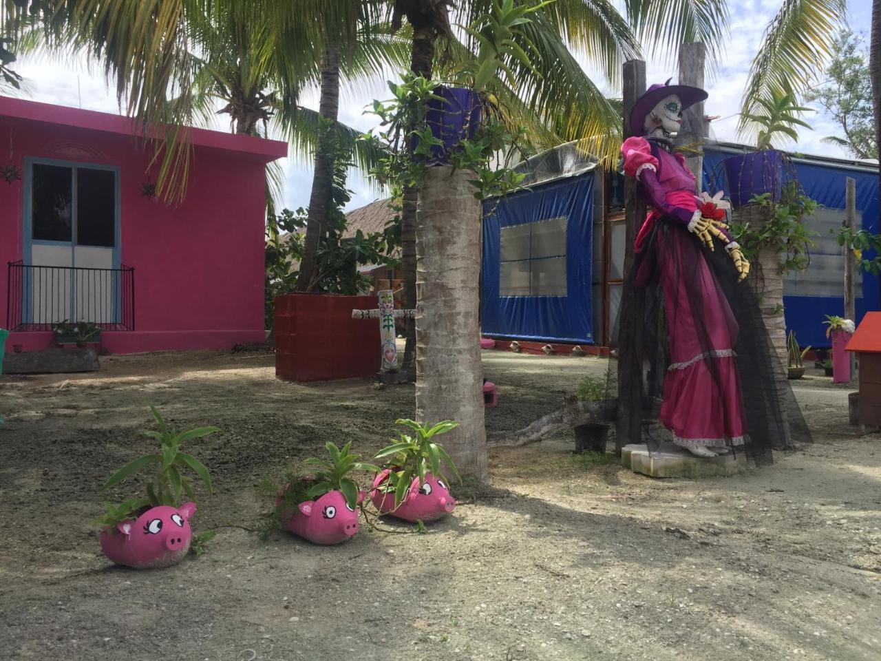 Hotel Hacienda La Catrina Isola Holbox Esterno foto