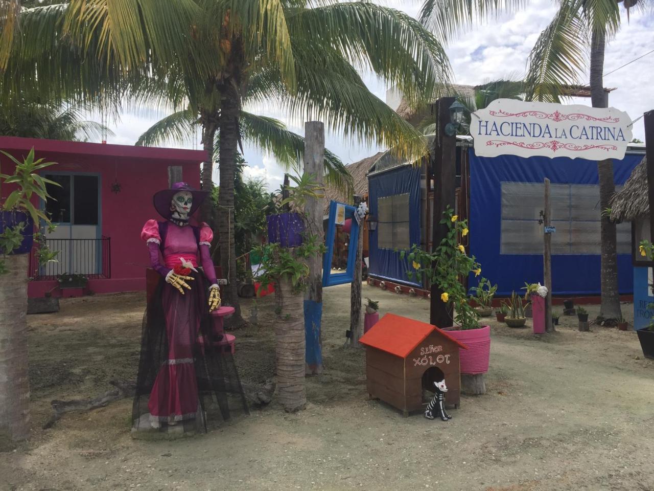 Hotel Hacienda La Catrina Isola Holbox Esterno foto
